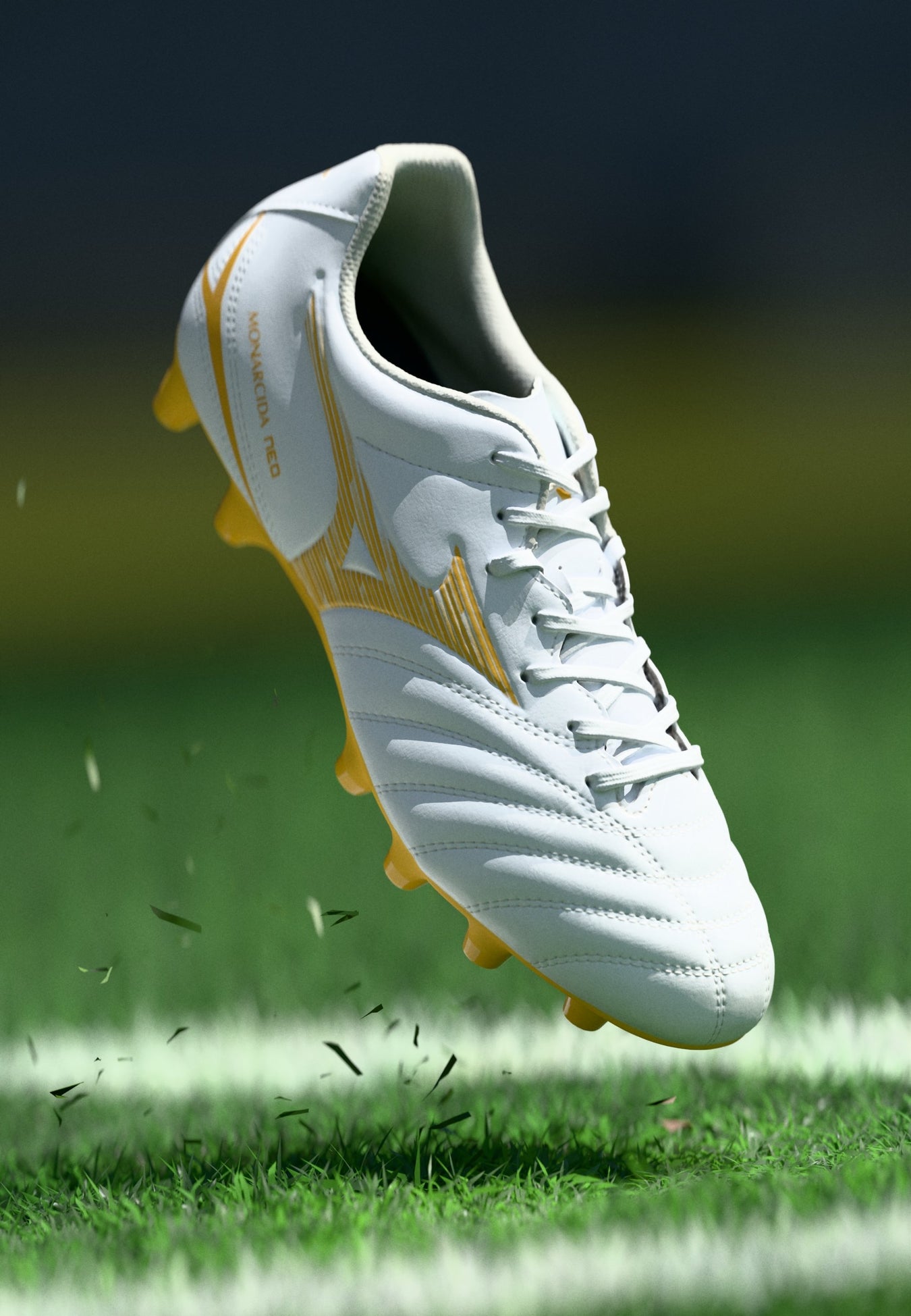 Mizuno