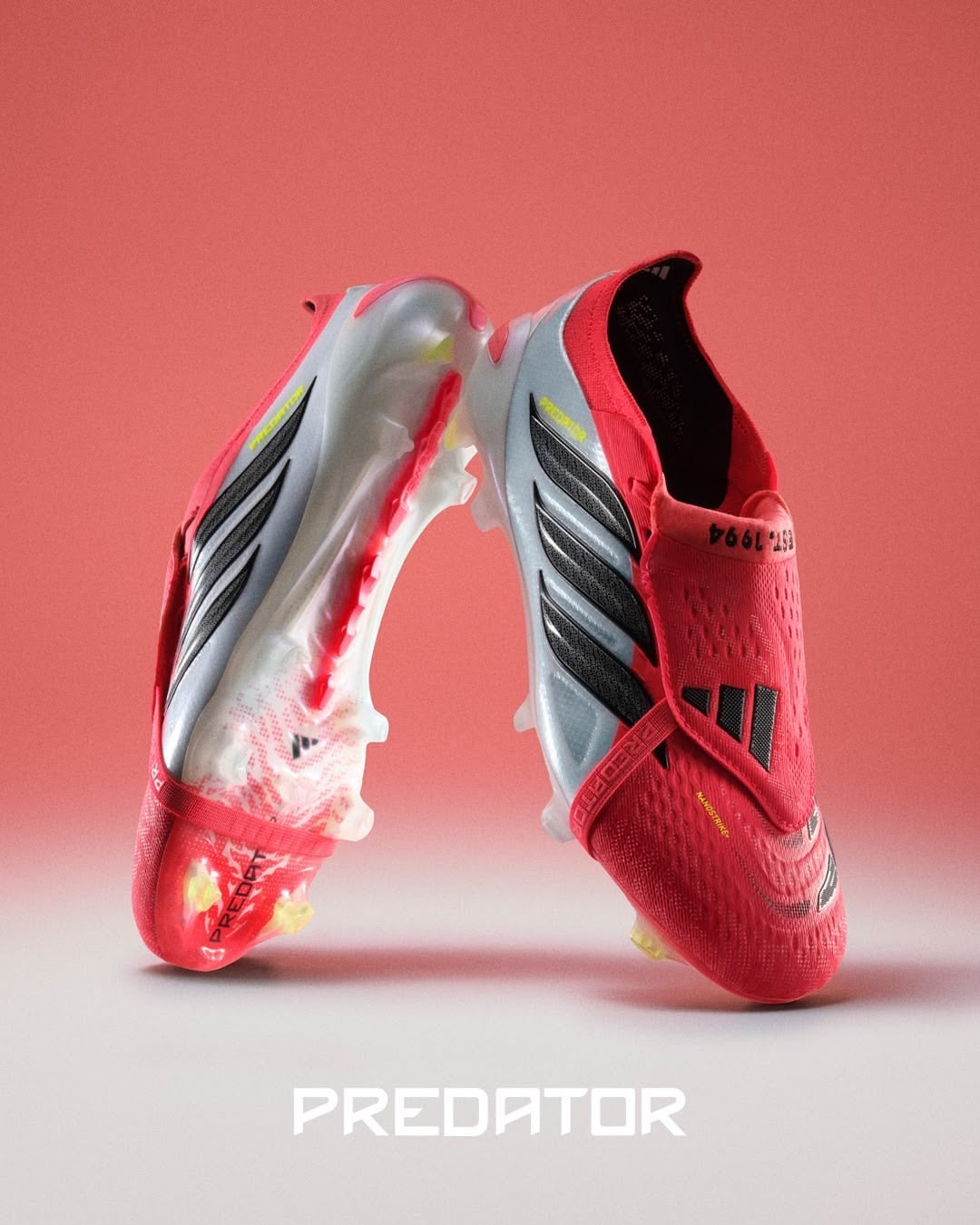 Predator